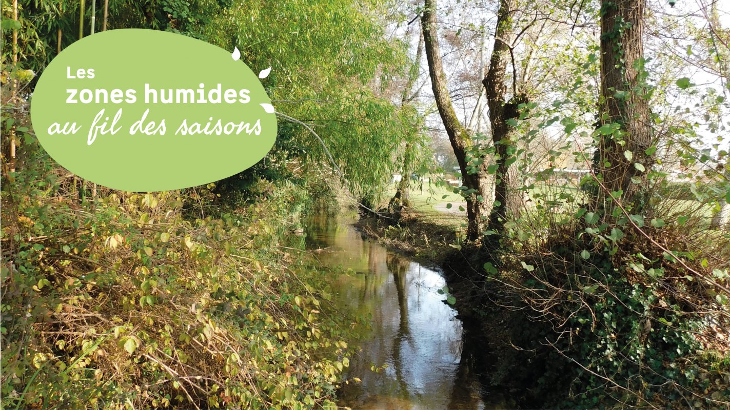 Sortie entre les jalles venez découvrir Castelnau-de-Médoc