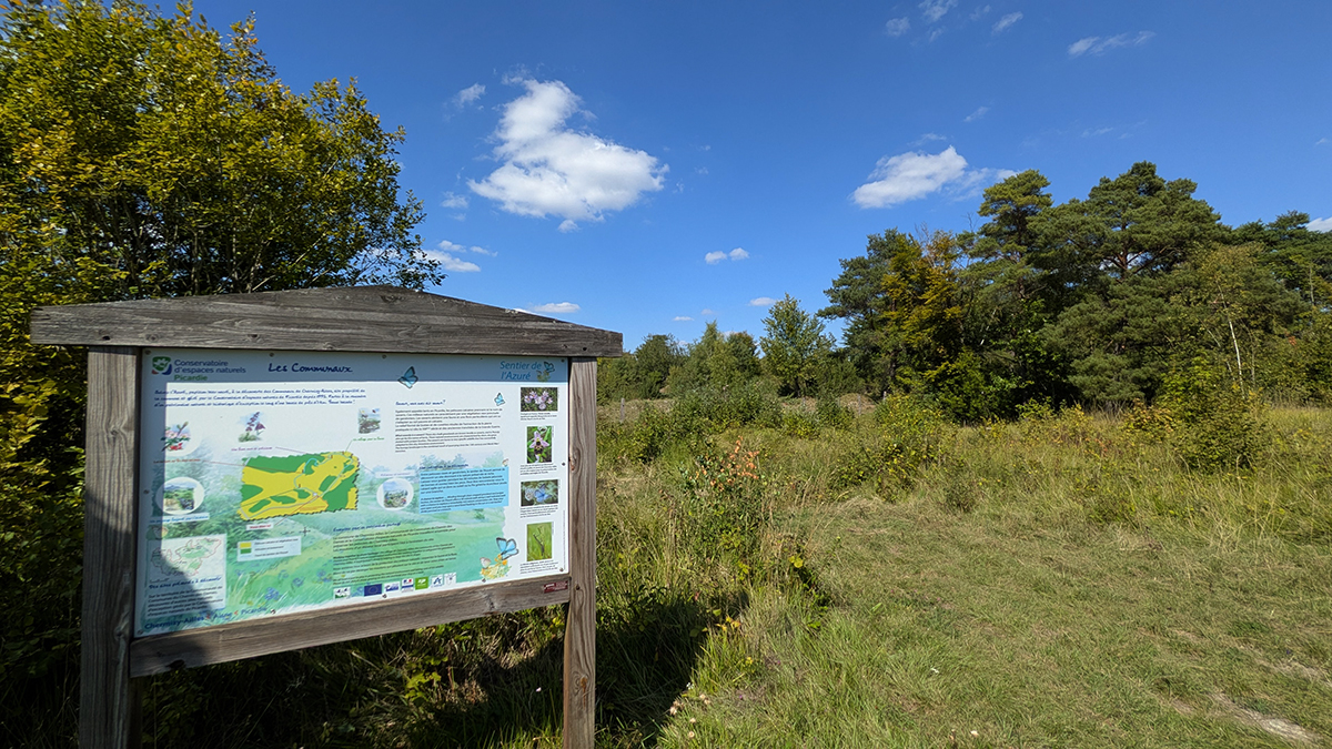 Sortie nature à Chermizy-Ailles Les orchidées