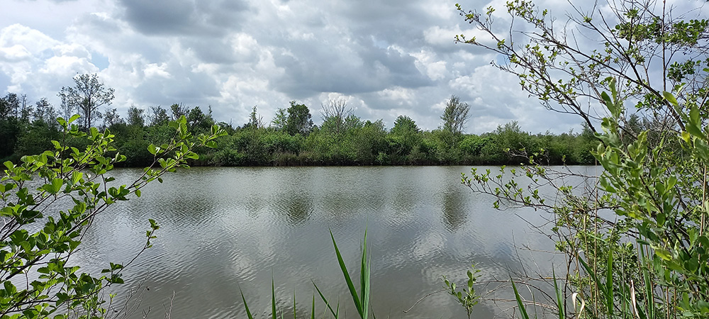 Sortie nature à Liesse-Notre-Dame Les oiseaux en liesse !