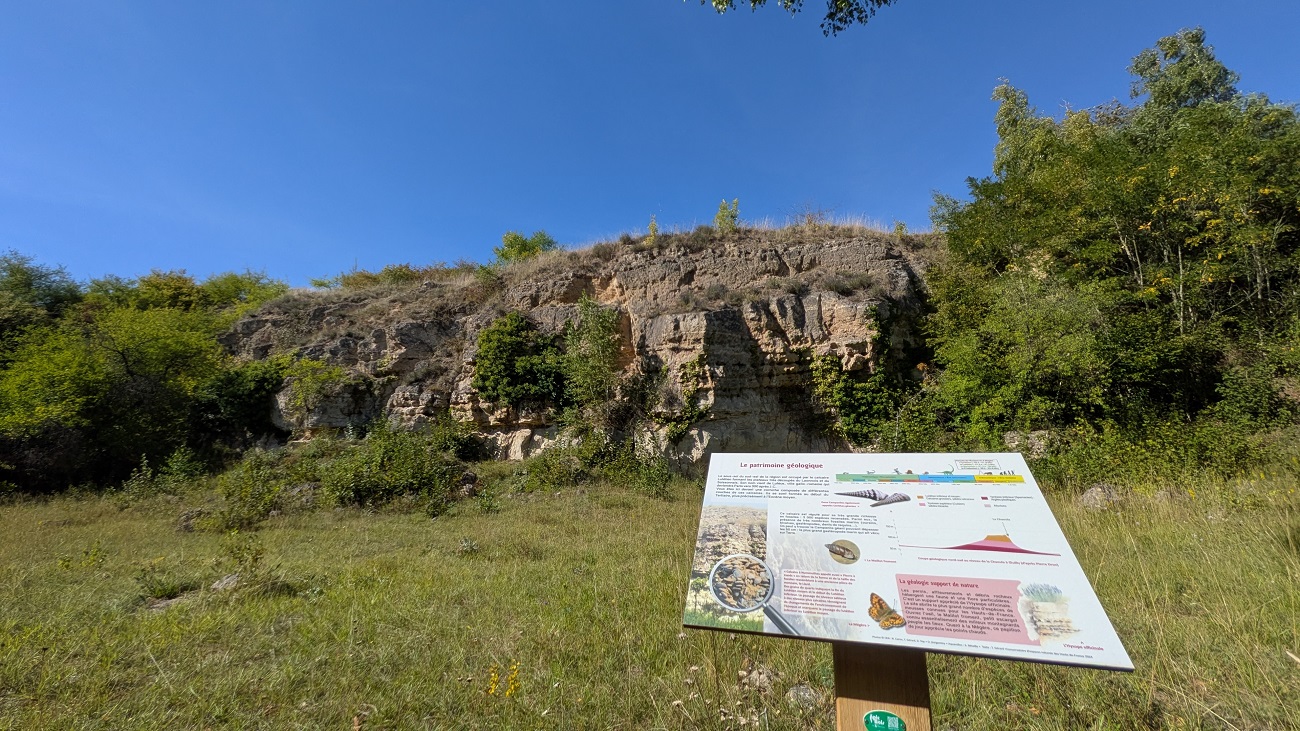 Sortie nature à Oeuilly Un peu de géologie en bonne compagnie !