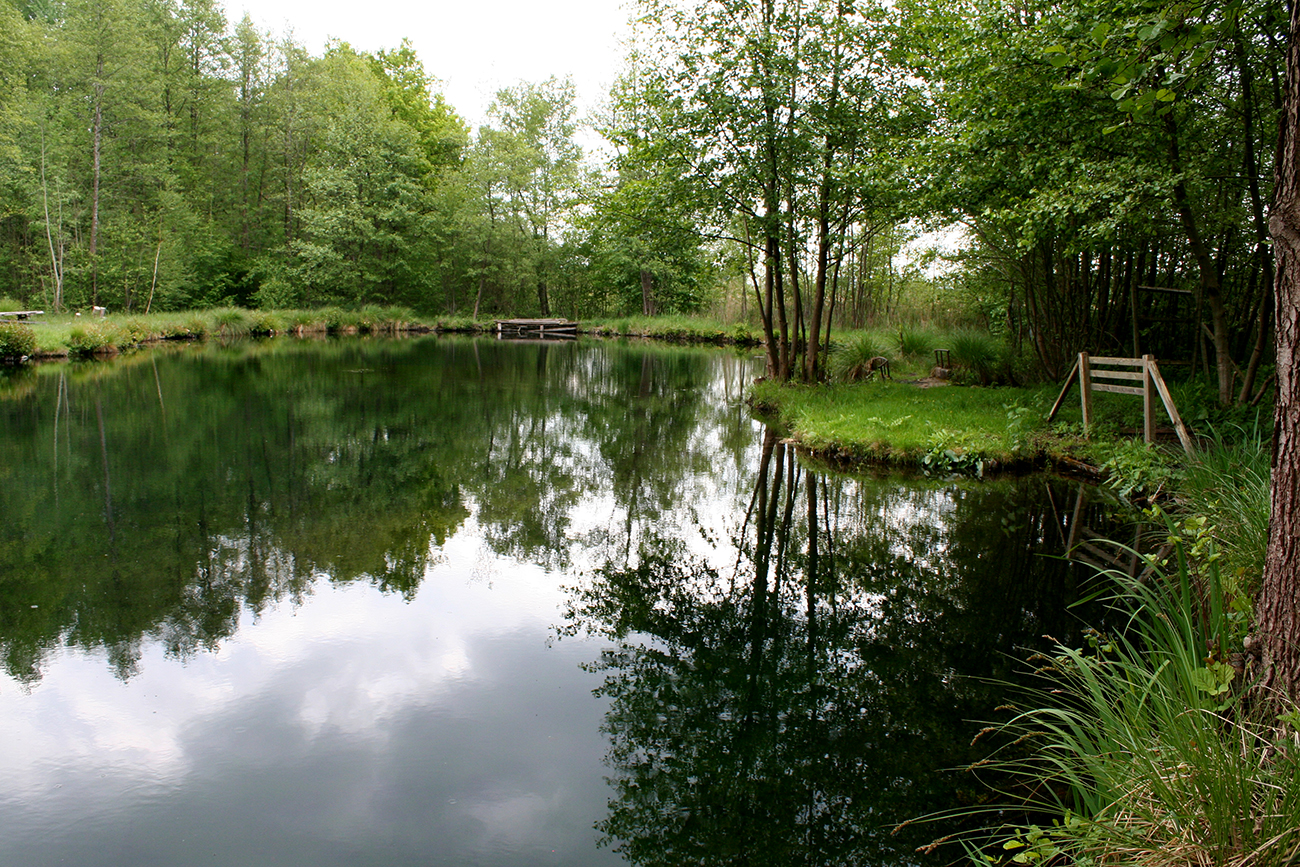 Sortie nature à Vesles-et-Caumont Découverte de la réserve