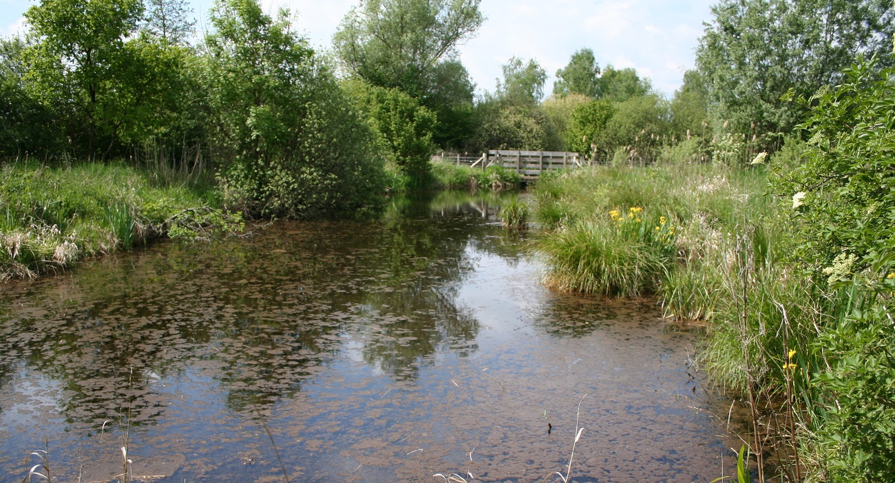 Sortie nature à Vesles-et-Caumont Découverte de la réserve