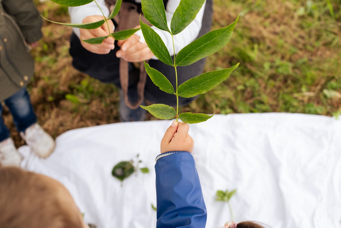 Sortie nature balade sensorielle