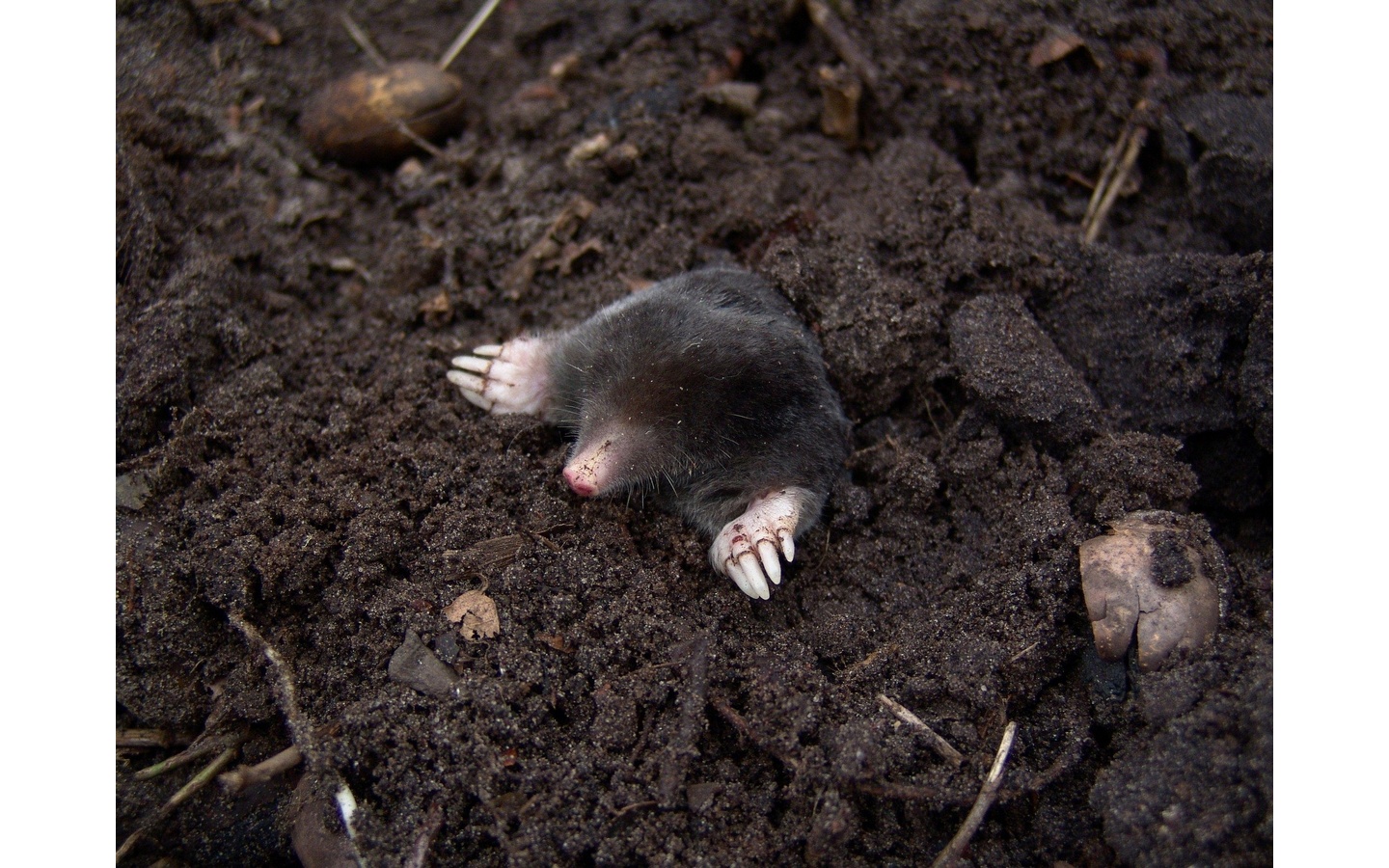 Sortie nature en famille Sol