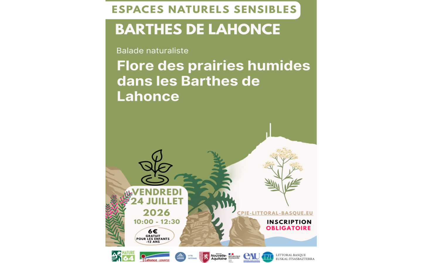 Sortie nature flore des prairies humides