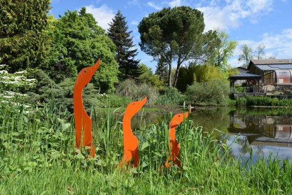 Sortie Nature La vie des arbres