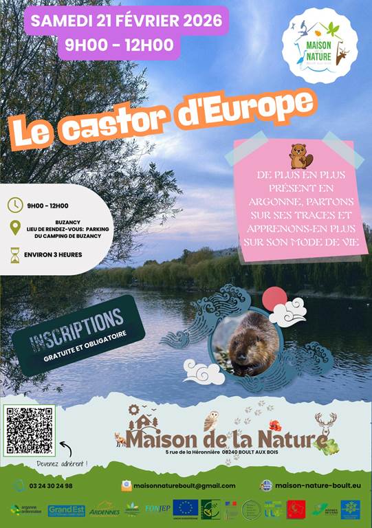 Sortie nature le Castor d'Europe