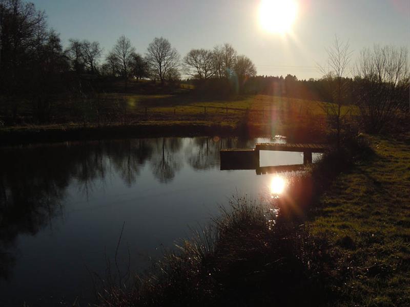Sortie nature les mysteres de la nuit