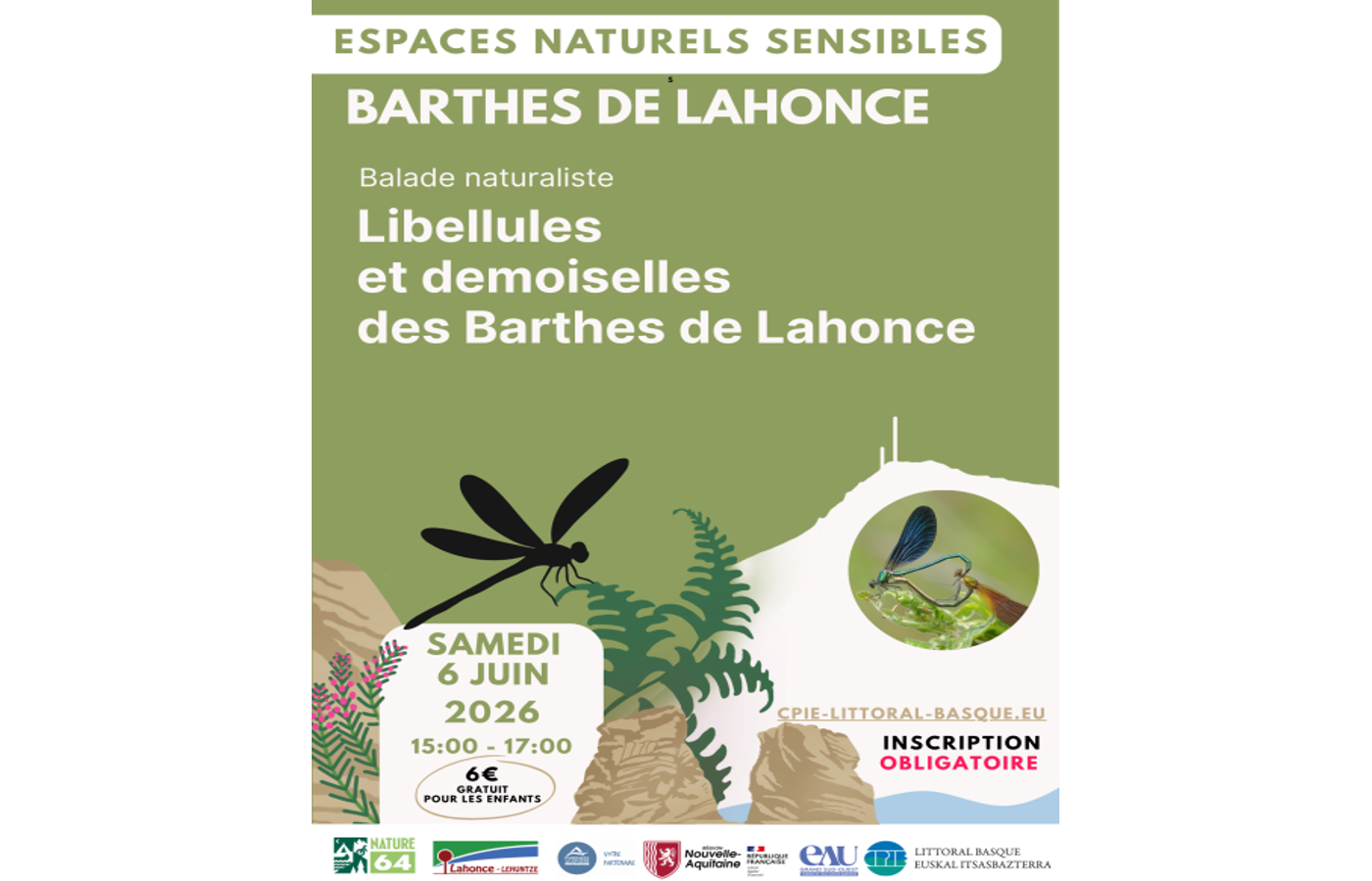 Sortie nature Libellules et demoiselles des barthes