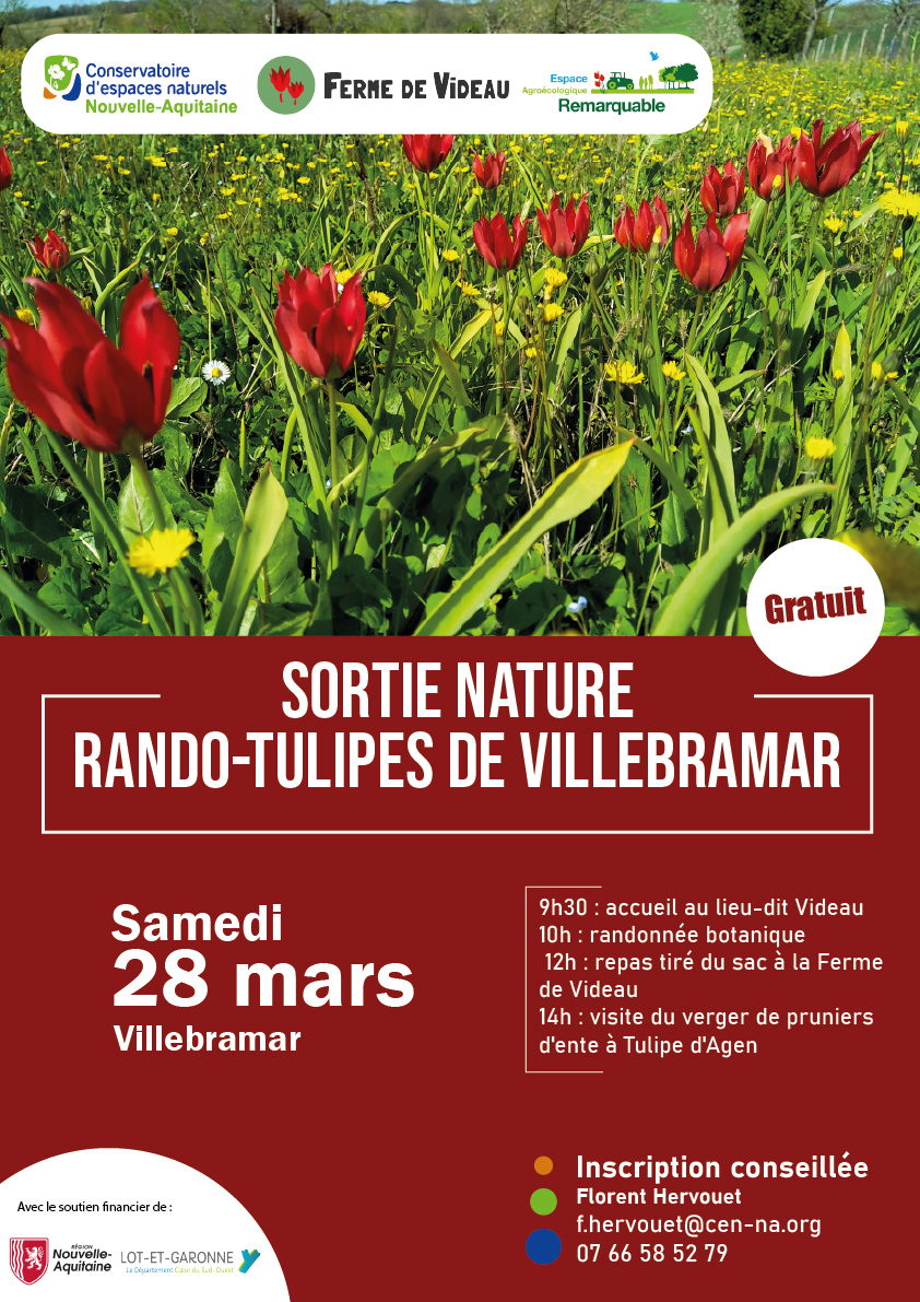 sortie nature Rando-tulipes de Villebramar