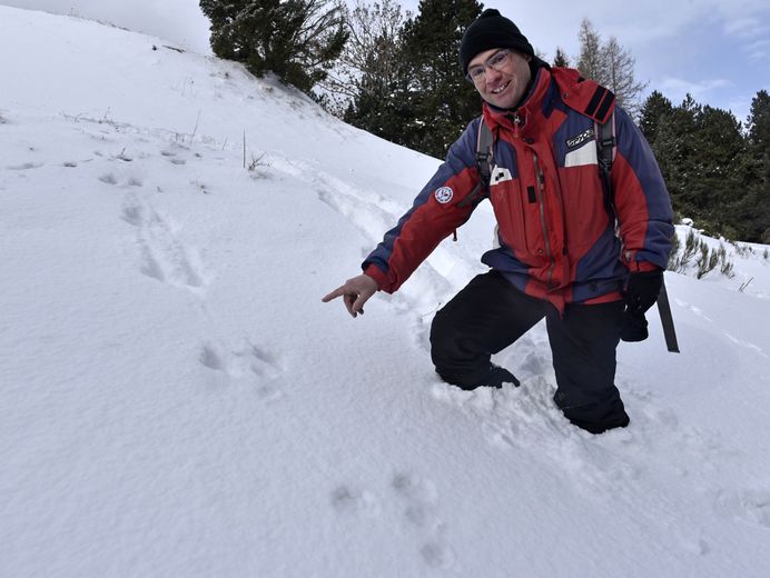 SORTIE NATURE SUR LES TRACES DES ANIMAUX