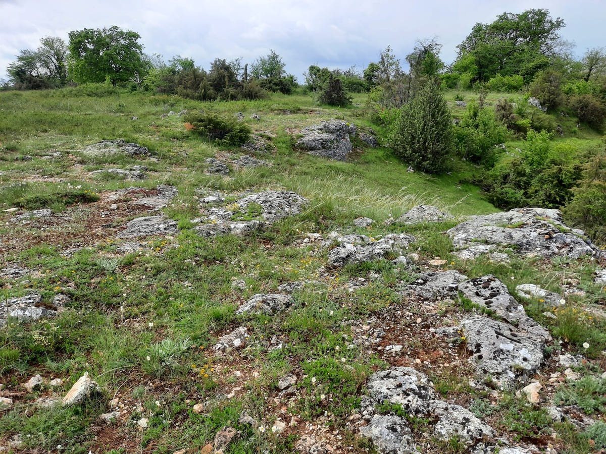 Sortie photo sur l'ENS des Chaumes de la Périsse