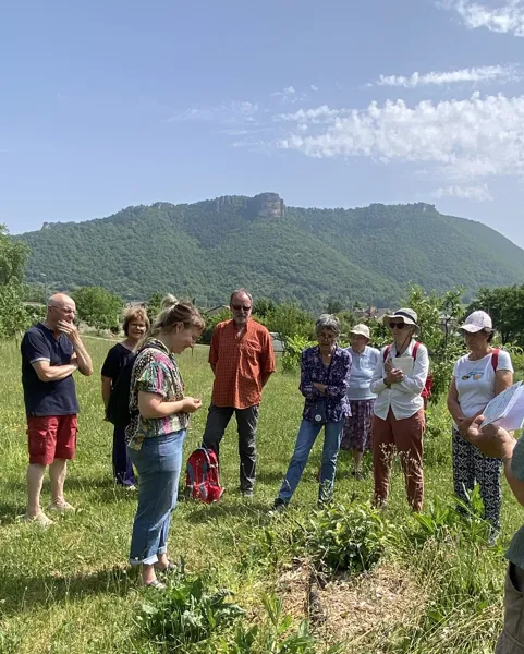 Sorties botanique autour des Plantes Médicinales