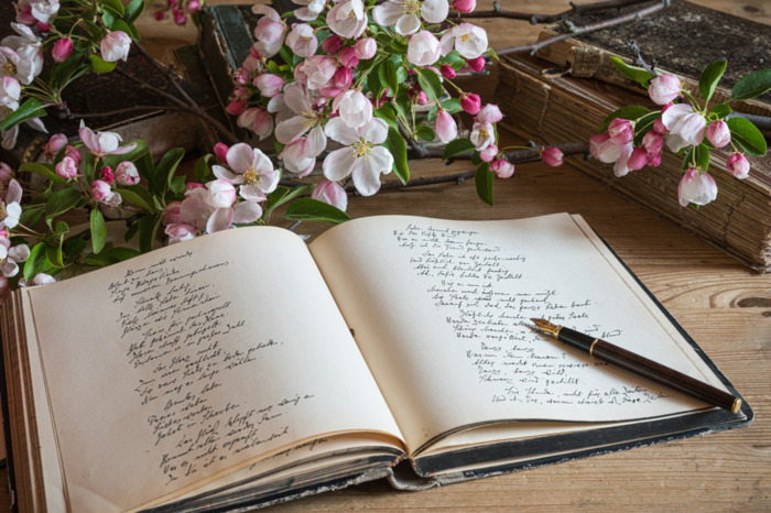 Spectacle musical : Représentation Les poètes de l’amour Echoppe Seniors La Lumineuse Bordeaux