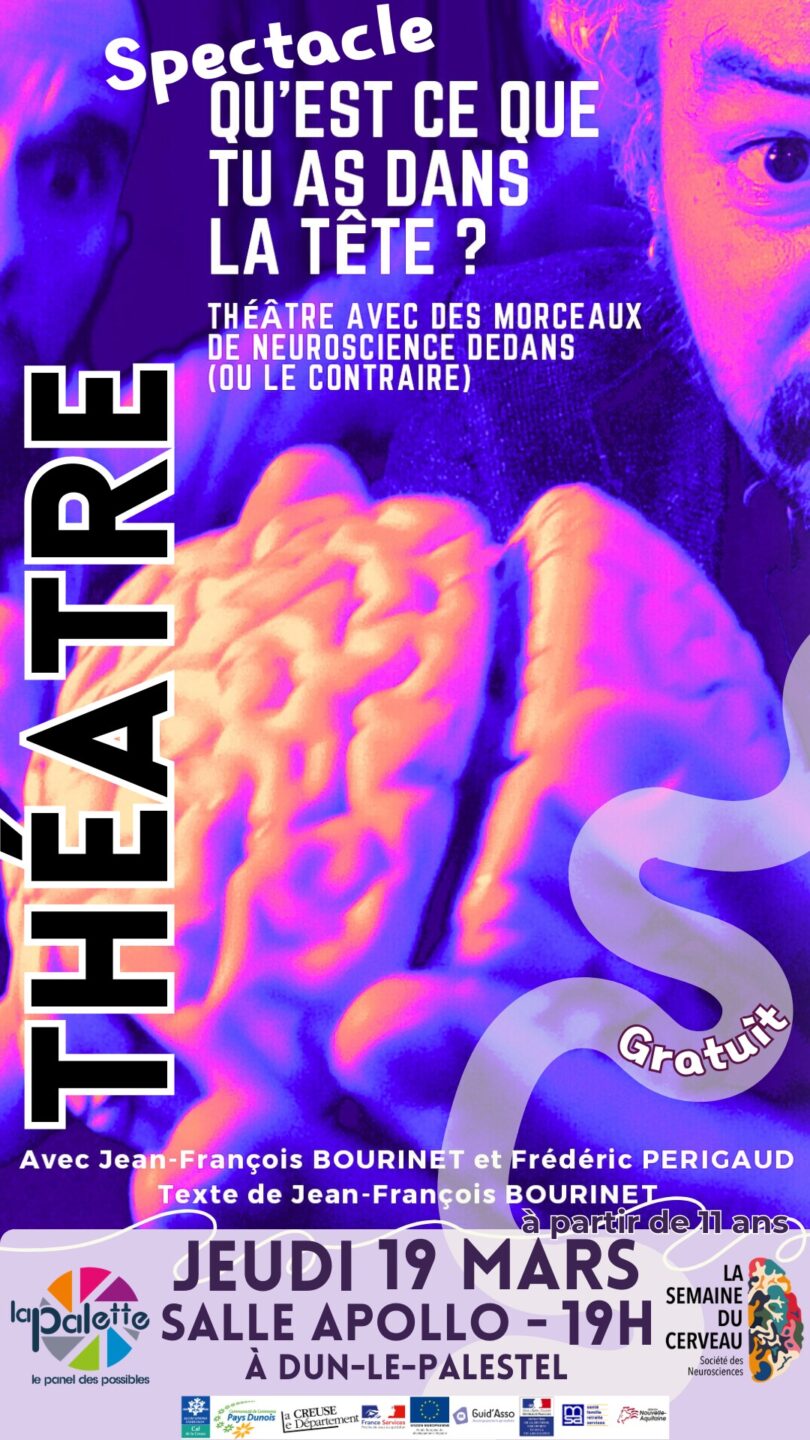 Spectacle Qu’est-ce que tu as dans la tête? Salle Apollo Dun-le-Palestel 2026-03-19 Spectacle Qu'est-ce que tu as dans la tête?