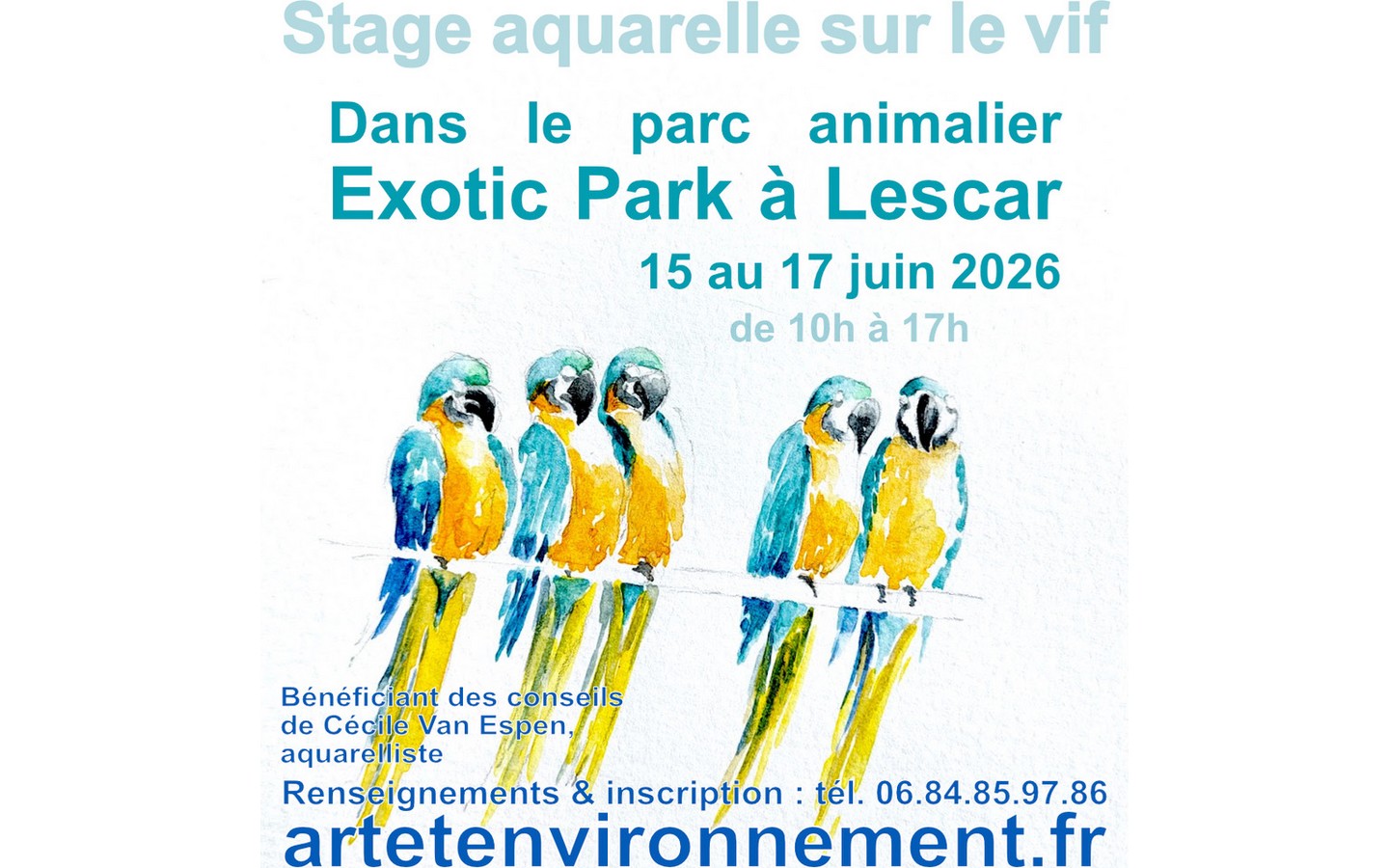 Stage aquarelle sur le vif