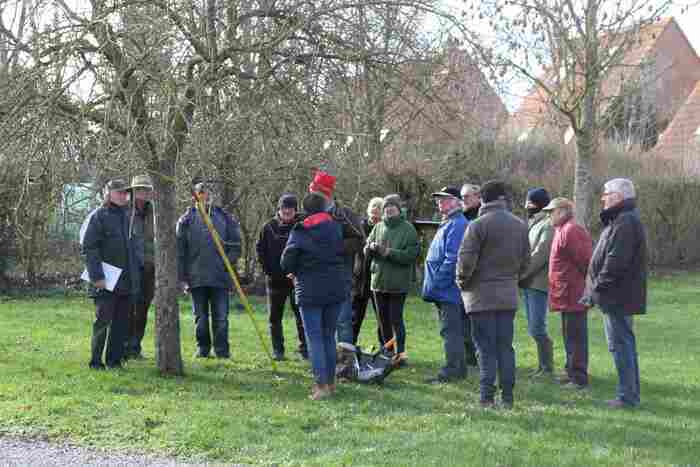 STAGE DE TAILLE DES ARBRES FRUITIERS // MUSÉE DE LA VIE RURALE DE STEENWERCK Musée de la vie rurale Steenwerck