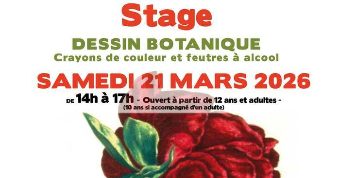 Stage dessin botanique Salle de peinture de Gestes et expression Saint-Médard-en-Jalles