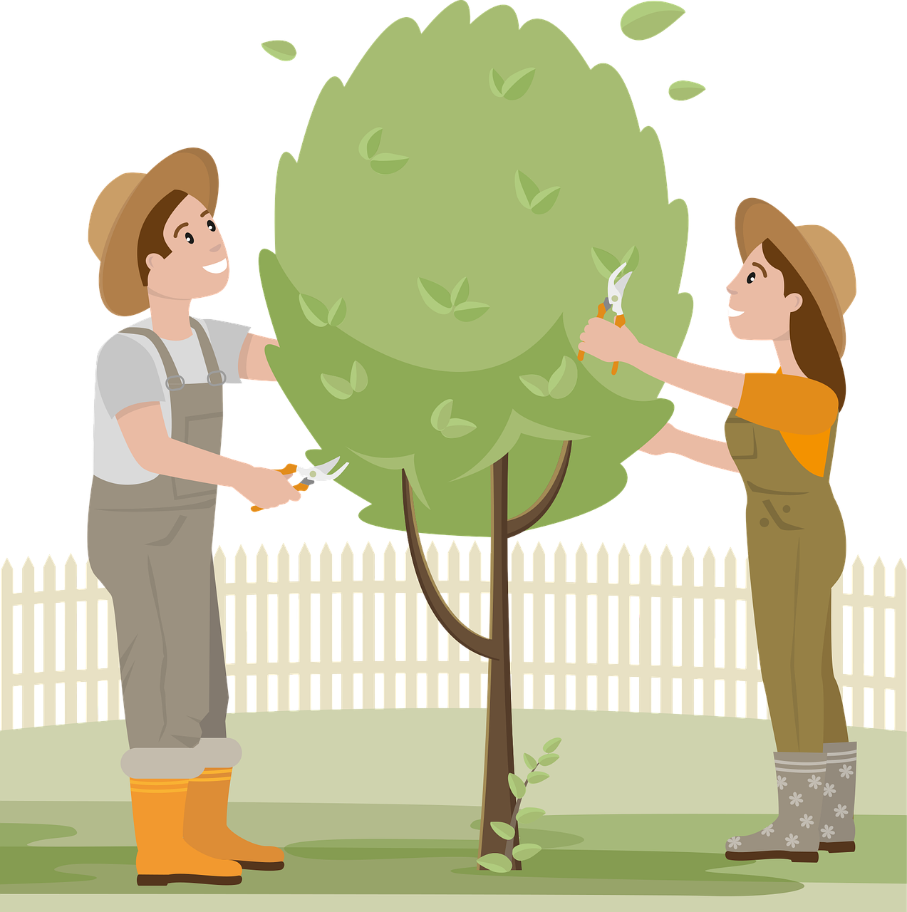 Stage greffage de fruitiers à Saint-Michel-Léparon Jardin de la Salamandre La Roche-Chalais 2026-03-04 Stage greffage de fruitiers à Saint-Michel-Léparon