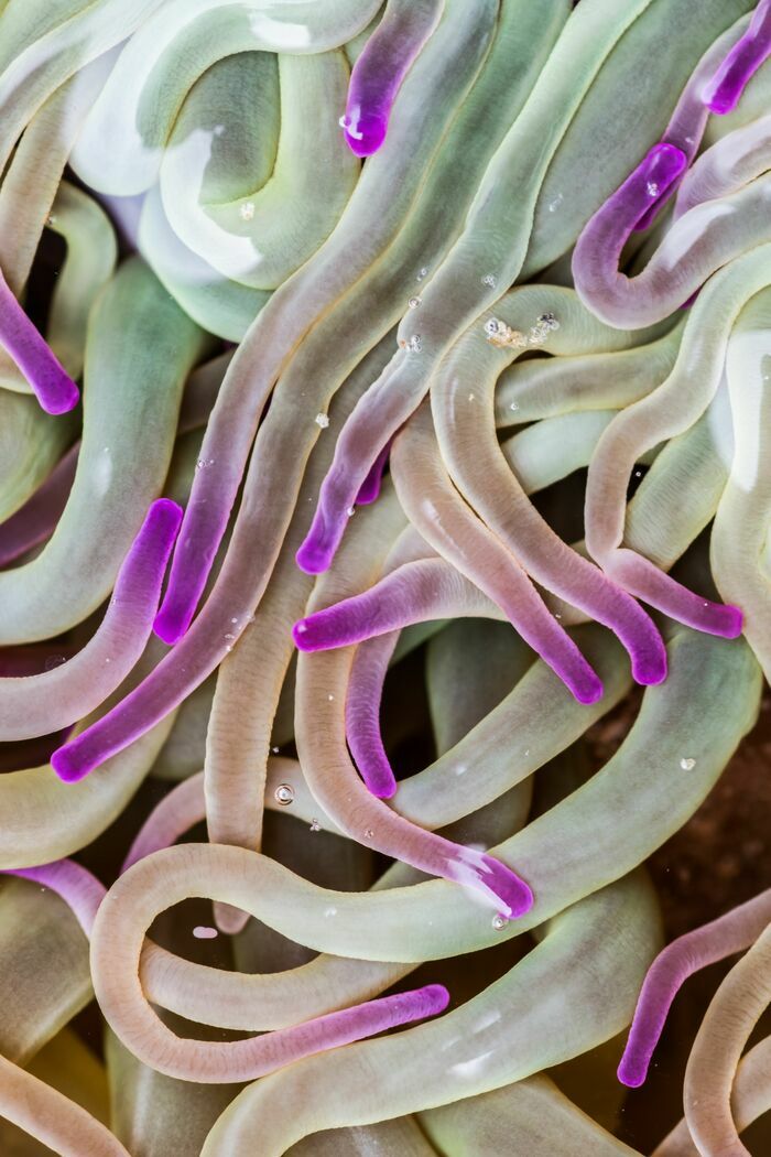 Stage photo estran - Plougonvelin Plougonvelin Plougonvelin