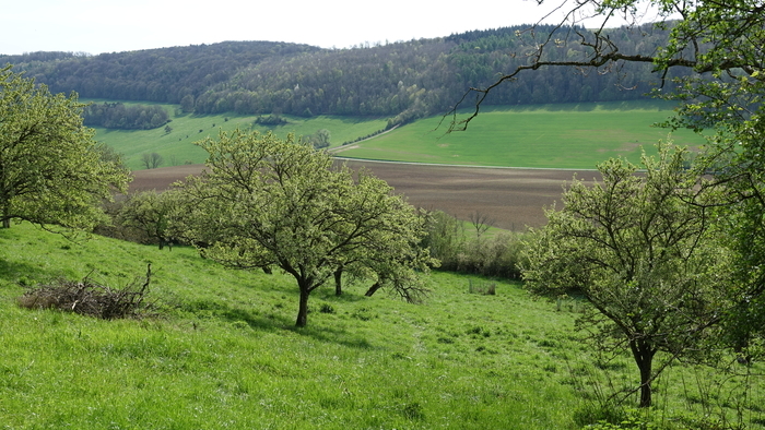 Sur la ligne d'horizon Cité des paysages Saxon-Sion