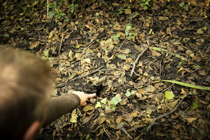 Sur la piste des animaux de la forêt Le Taillan-Médoc - Lieu de départ communiqué par l'association à l'inscription Le Taillan-Médoc