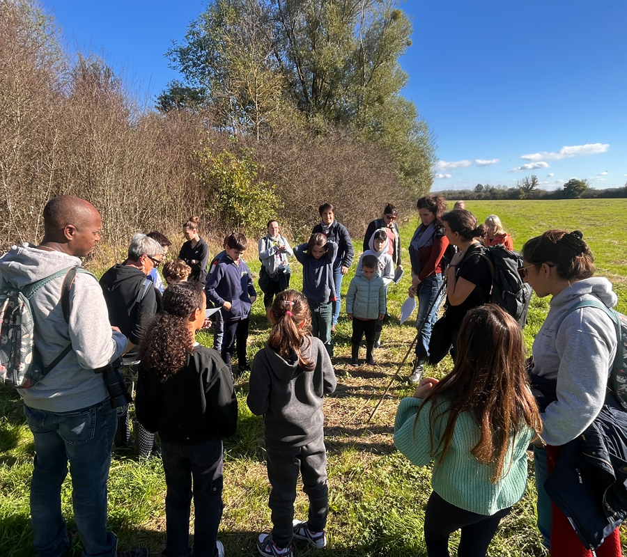 Sur la piste des animaux sauvages
