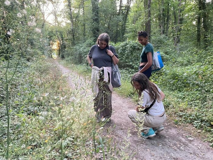 Sur les traces des animaux de nos forêts Coye-la-Forêt