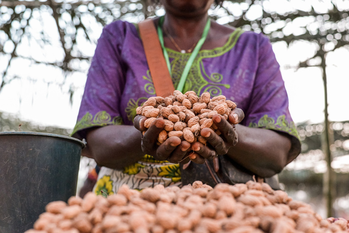Table ronde et projection : quand les graines deviennent des profits... qui nourrit le monde? Maison de l'Avenir Genève