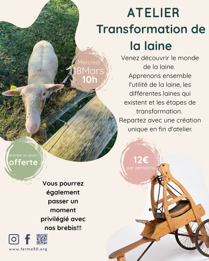 Transformation de la laine Association Ferme de 50 Ramonville-Saint-Agne