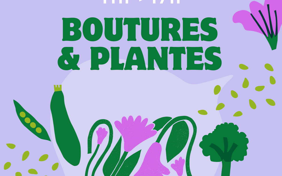Troc | Boutures & Plantes Centre Paris Anim’ Mado Robin  Paris
