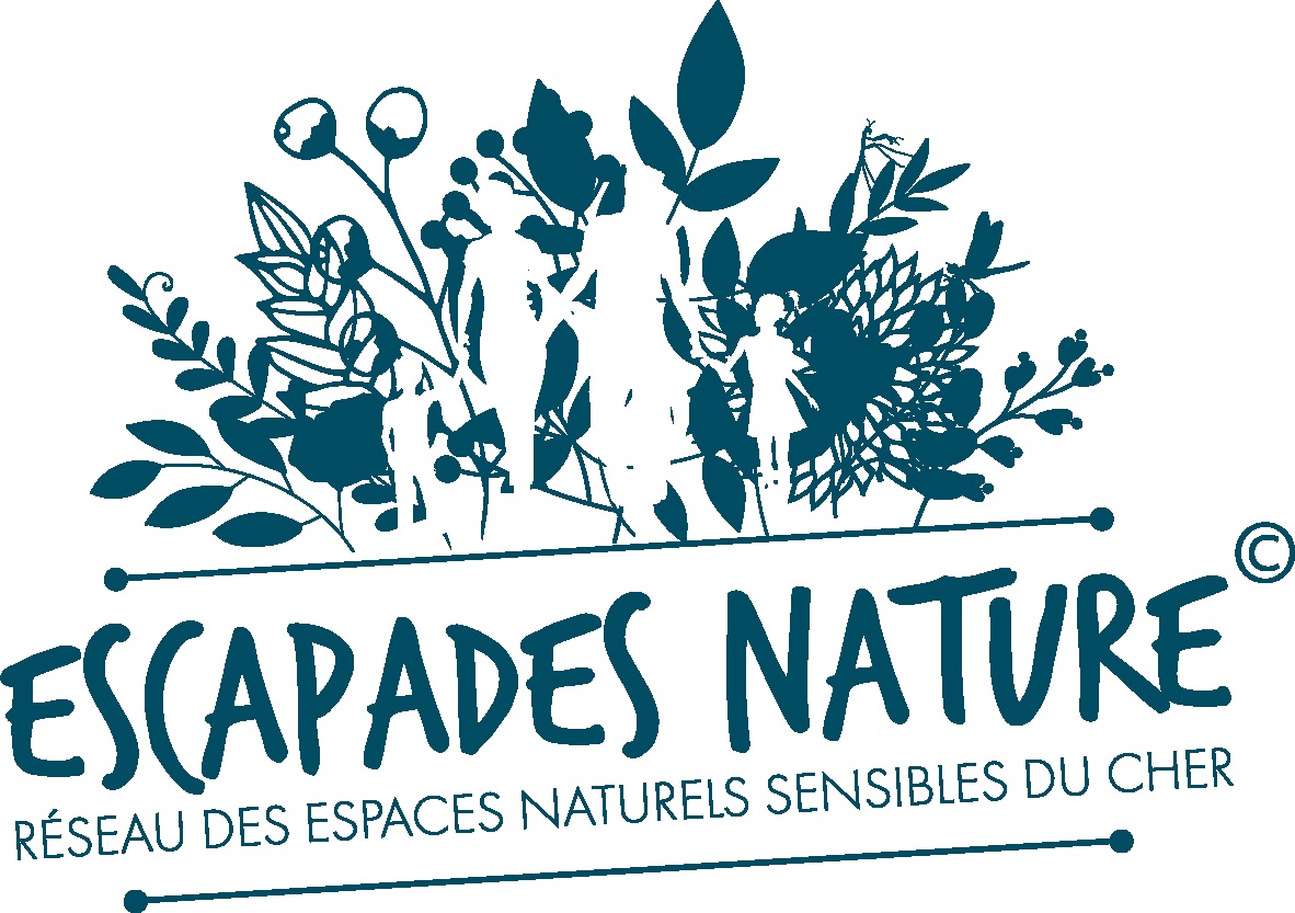 Un été sur l'ïle Marie