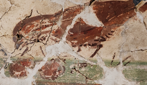 Un musée pour soi Enduits peints à la romaine