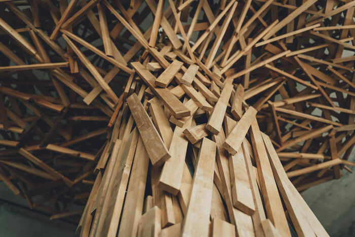 Une journée en forêt - Participation et co-construction ! Bibliothèque de la Cité Genève