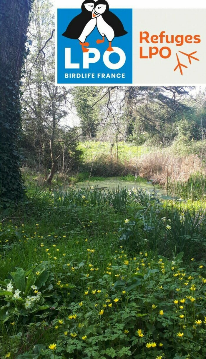 Une matinée au refuge LPO du Lieu Utile Le Lieu Utile Bouguenais