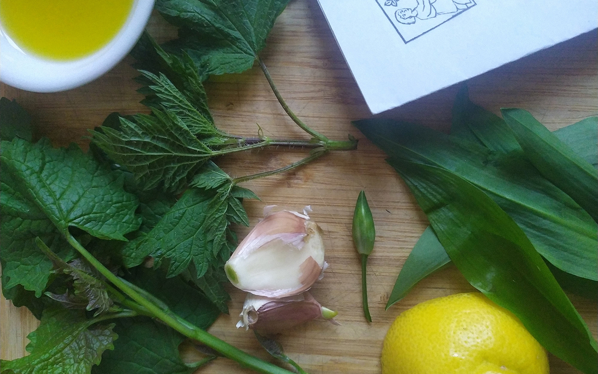 Une plante et ses usages : Les jeunes feuilles d’ortie Ressourcerie Le Plant B  Paris