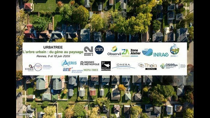 URBATREE : L’arbre urbain