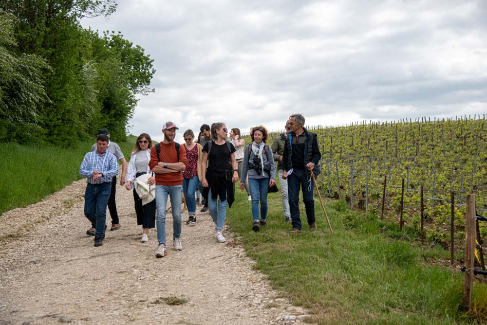 Vignobles en Scène Balade Vigneronne avec le Champagne Binon-Coquard