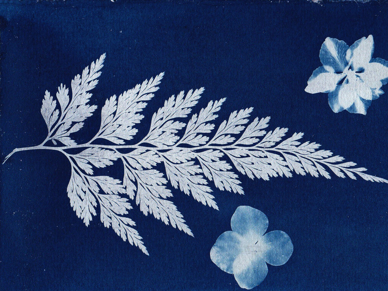 Visite atelier Révèle la nature !