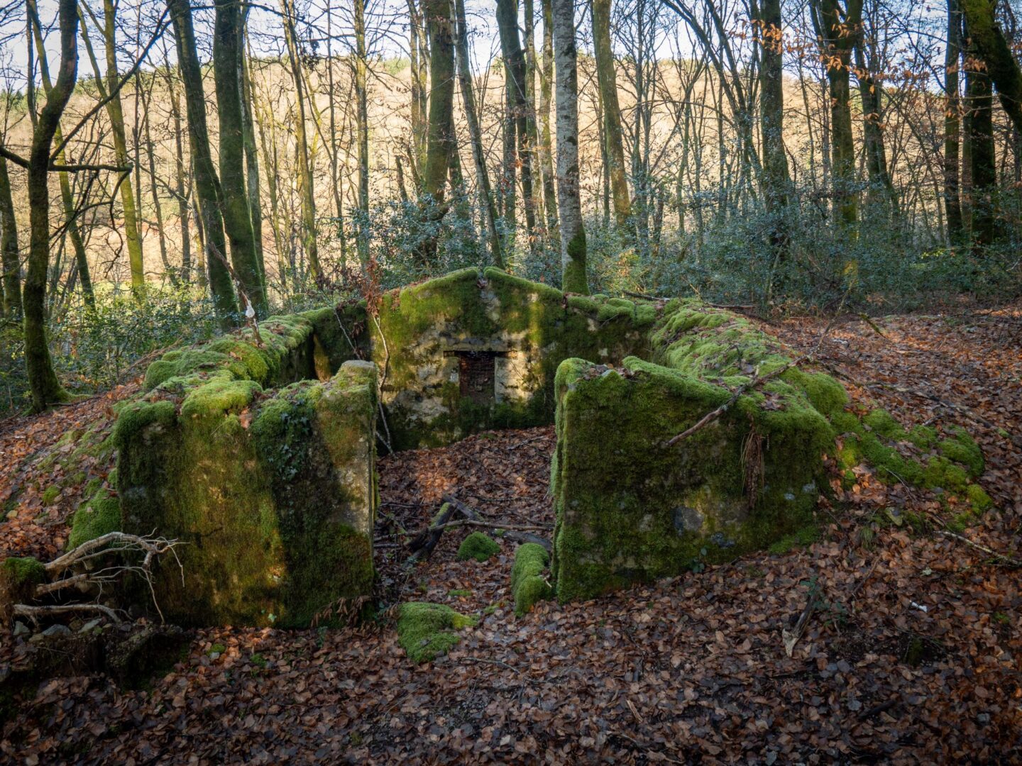 Visite commentée Bagne des Blandins en Néerlandais Le Châtelet Arleuf 2026-08-05 Visite commentée Bagne des Blandins en Néerlandais