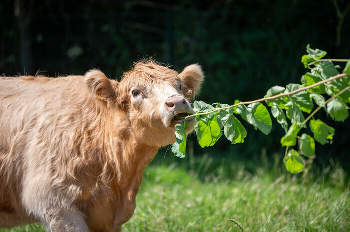 Visite découverte et sensorielle Ferme Pédagogique Marcel Dhénin Lille