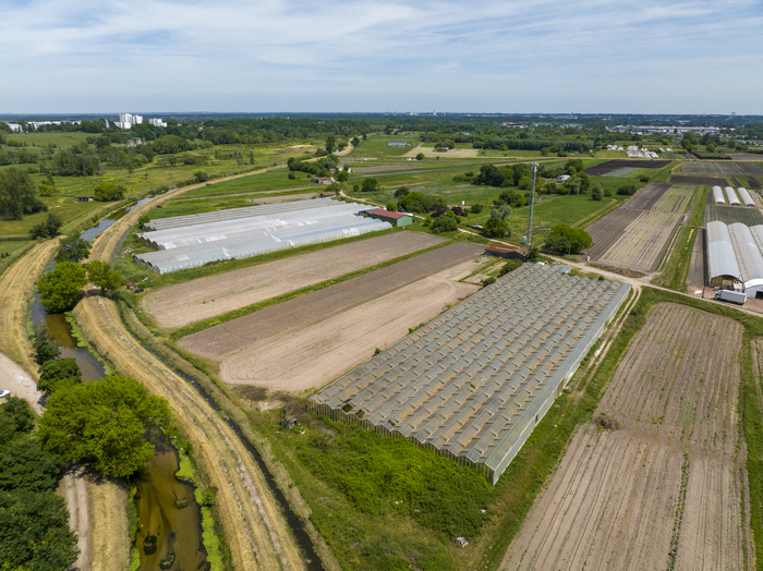Visite d'exploitation le jardin de Quentin (maraîcher) Eysines - lieu communiqué à l'inscription Eysines
