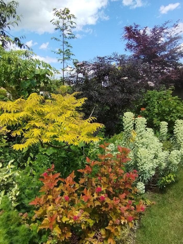 Visite du Jardin des quatre saisons Le jardin des quatre saisons Ohnenheim