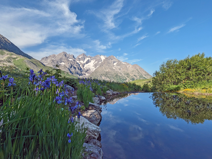 Visite du jardin du Lautaret Jardin du Lautaret Villar d'Arène