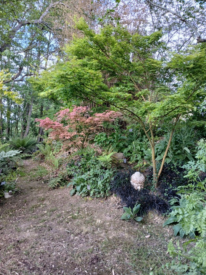 Visite d'un jardin remarqué Au Jardin d'Hortense Saint-Julien-des-Landes