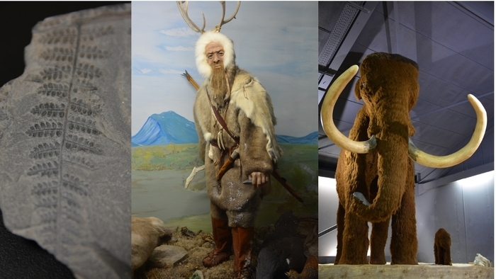 Visite et création Préhistorama Rousson