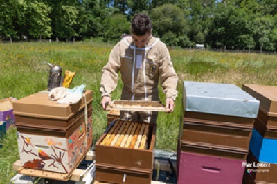 Visite guidée Apiculteur d'un jour