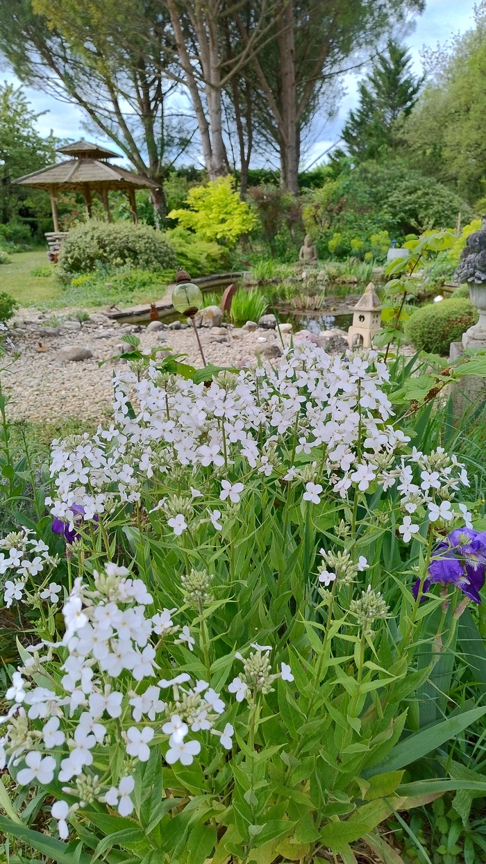 Visite guidée de la Palette des Couleurs Jardin la Palette des couleurs Chabeuil