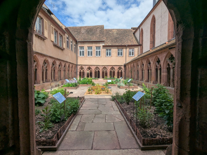 Visite guidée du jardin des plantes médicinales du cloître des Récollets de Saverne et animation médiévale Cloître des Récollets de Saverne Saverne