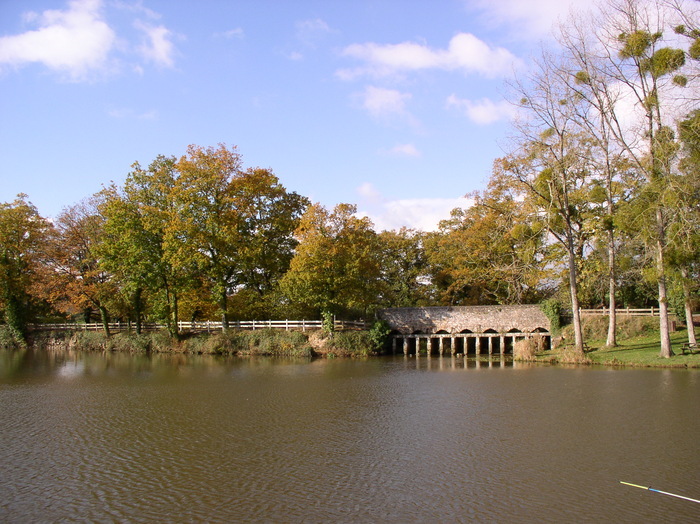 Visite guidée du site médiéval de Chevré La Bouëxière - site de Chevré La Bouëxière